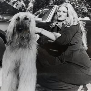 Meet your Posher, Suzie